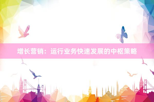 增长营销：运行业务快速发展的中枢策略